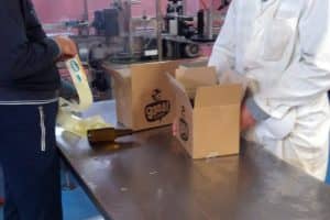 InVolo - Coop. sociale